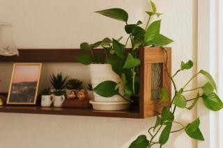 Seoul Jongno Private House 6min to Changsin Station & Near DDP - 5