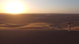 Palm Shade Desert Camp - 2