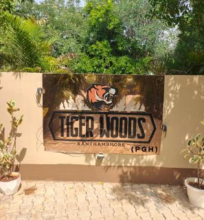 Tiger woods Ranthambore - 1