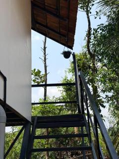 Canopy Tree House - 4