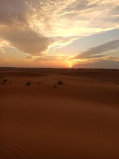 Palm Shade Desert Camp - 1