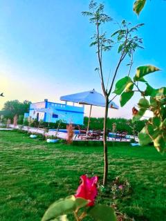 Holiday House Fanar - 0