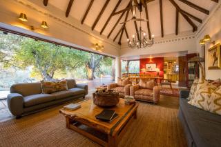 Shimungwe Lodge, Thornybush Game Reserve - 7