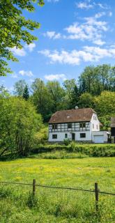 Ferienhaus am Mühlgrundbach - 8