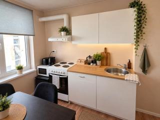 Apartment 8 - Bright 2BR Apartment, Near Centre, Airport Access - 6