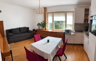 Schöne Unterkunft mit Garten, gute Lage, Tram Bus - 7