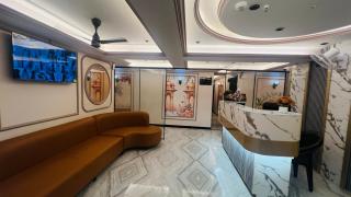 hotel the palace inn gotri - 6