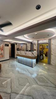 hotel the palace inn gotri - 3