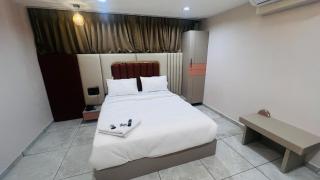 hotel the palace inn gotri - 1