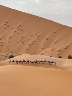 Tilila Desert Luxury Camp - 7