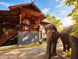 Elephant view terrace - 5