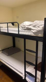 Dream den hostel - 7