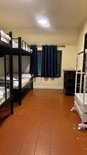 Dream den hostel - 6
