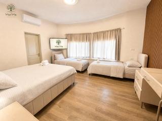 Tzlil Hagalil Estate - Private Villa with Heated Pool - 3