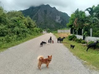 WangLee Guesthouse - 7