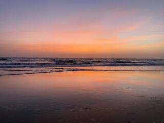 The Hosteller Goa, Morjim - 8