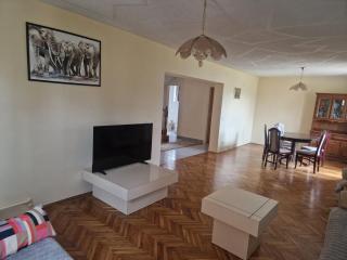 Beautiful large villa Vrčin - 5