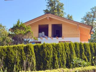 Haus Laubreche - Oberschönau - 9