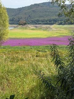 Lago Edera - Panoramablick - 9