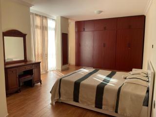 Cozy Furnished Apartment in Kazanchis - 9