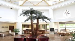 Wistaria Hotel Minhang Shanghai - Shanghái - 4