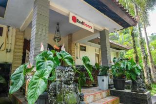 RedDoorz near Museum Gunung Merapi - 2