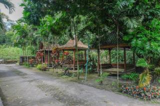 RedDoorz near Museum Gunung Merapi - 9