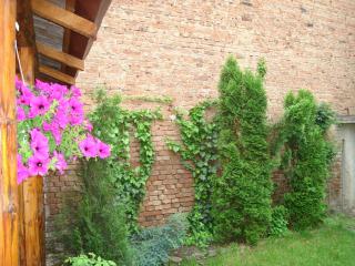 Guesthouse Daniel - Oradea - 5