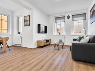 Apartment Mánesova-3 by Interhome - 6