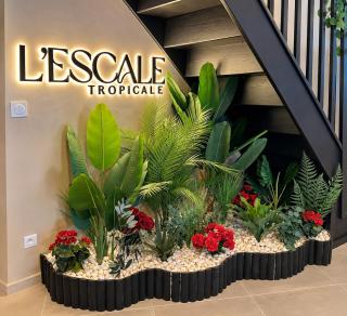 L'Escale Tropicale - 1