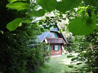 Gregor's Ferienhaus im Wald - Edelschrott - 8