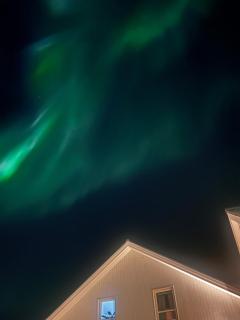 Nice apartment with northern lights and reindeer outside the door - 8