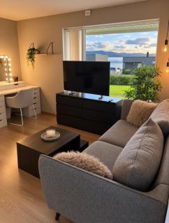 Nice apartment with northern lights and reindeer outside the door - 7
