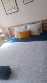 Spacious Apartment in Vilnius Center - 0