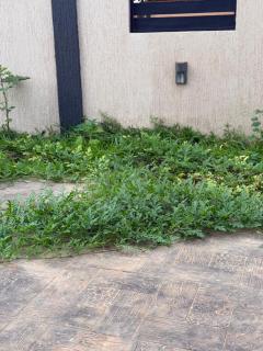 Elim Gardens - 6