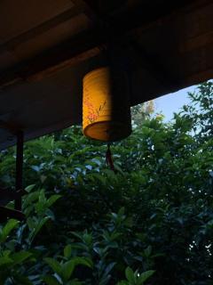 Hidden Hanoi - A boutique Vietnamese hideaway - 5