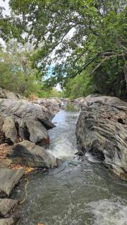 ARRYA LAKESIDE Bungalow - 3