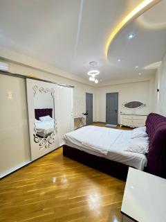 Family Panoramic View Apartment Near Nizami Street - 4