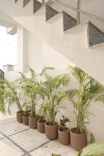 Mohitville BnB - A Home Away From Home - 5