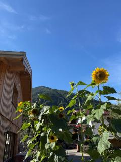 Schwarzer Spatz vacation home - 6