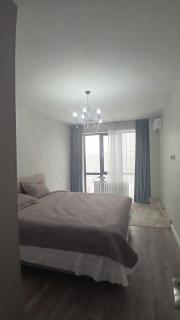 Luxurious apartment in East Park Almaty - 6