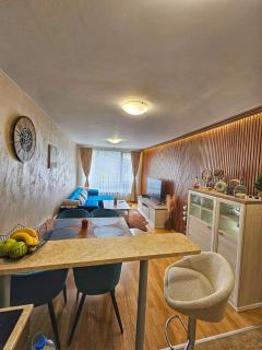 Boutique Aspen Luxury Suite - 6