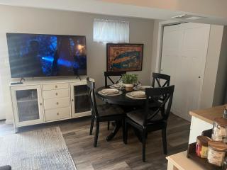 Newly Reno'd Studio Near Stony Brook University - 9