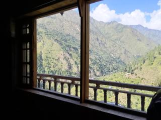 Tirthan view homestay - 9