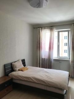 Cozy 2BR Near Gandan - 3