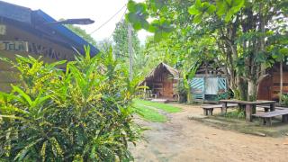 Guesthouse Jaw Jaw A Tela - 8