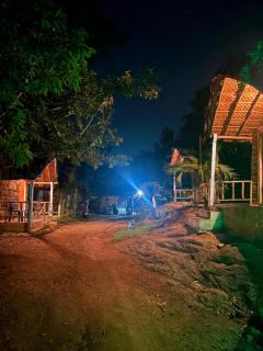Cranesparadisehampi - 5