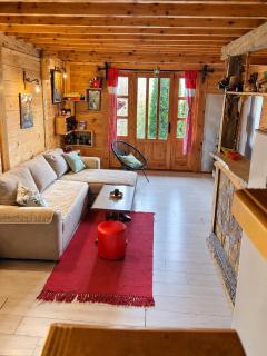 Drinska Villa Cabin - 1