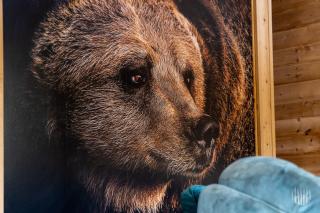 Rukakorpi 5 by Holiday in Lapland - 1