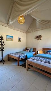 2 Authentic Mara Bush Cottages- Meals Included - 5